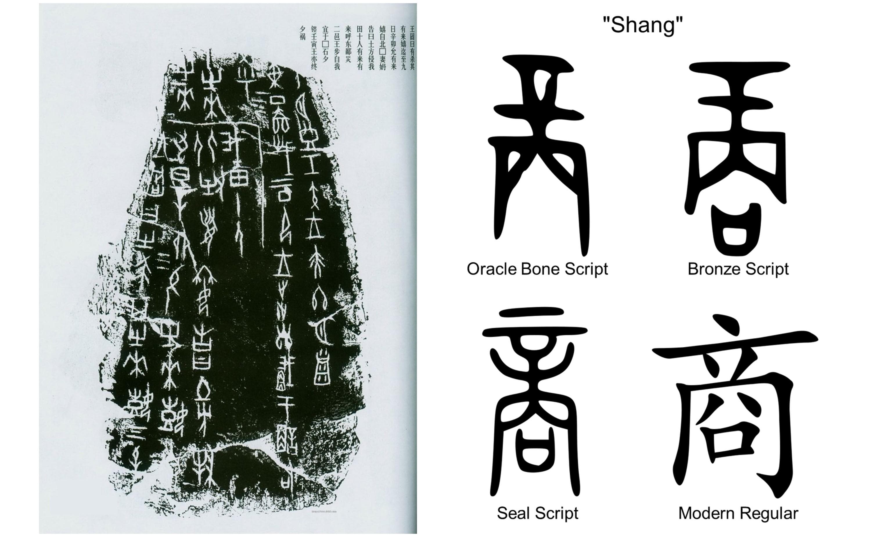 Oracle bone inscriptions and the Shang character in different writing styles