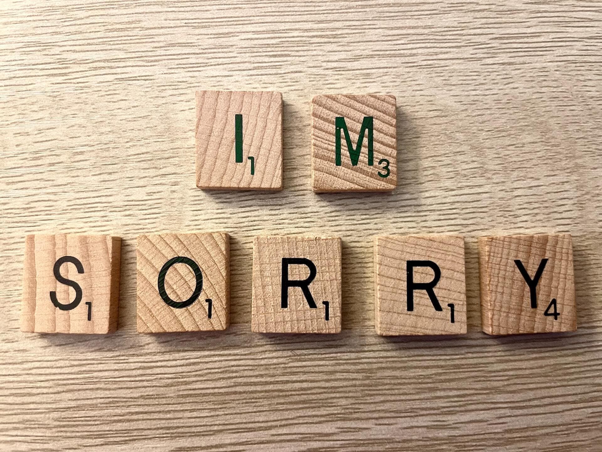 IM SORRY written in children's blocks